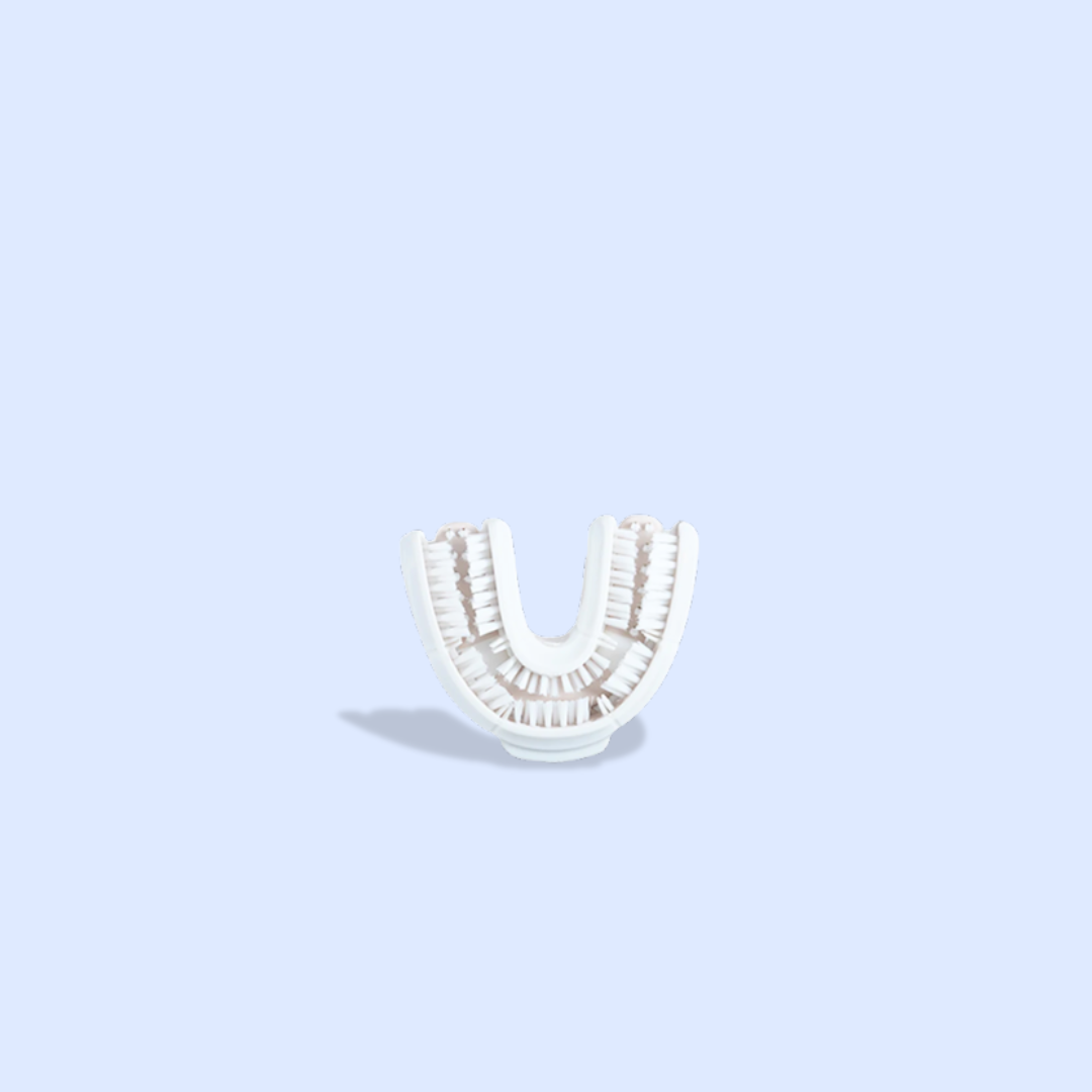 Replaceable Toothbrush Heads